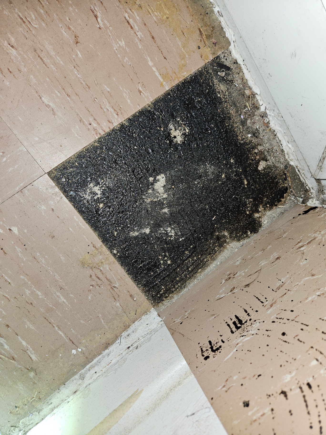 Thermoplastic Floor Tile & Bitumen Pink-beige thermoplastic floor tile next to exposed black bitumen adhesive in a corner of a room.